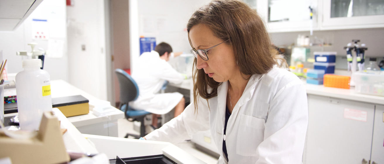 Anesthesia research lab