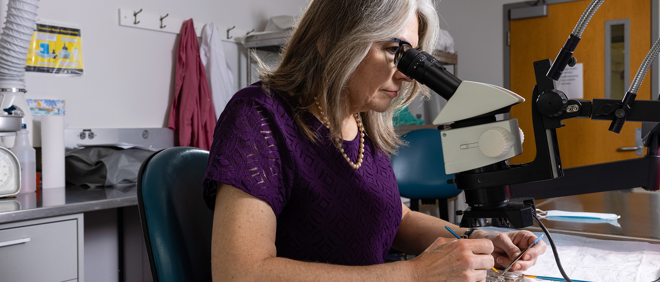 Dr. Donna Hammond research