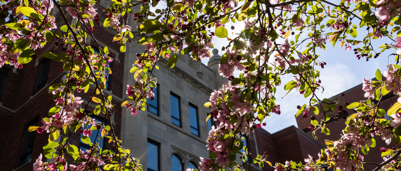 carver college of medicine exterior