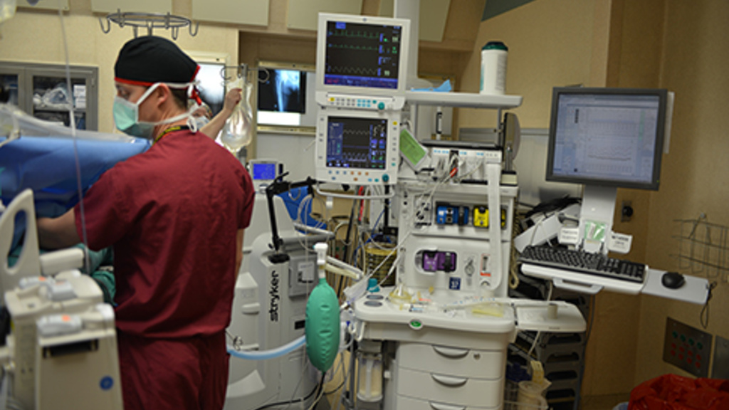 cardiac anesthesia fellowship program
