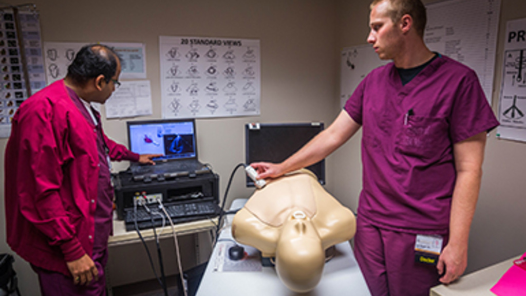Anesthesiology TEE simulator