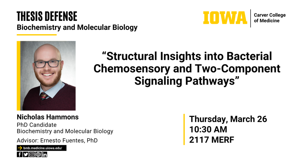 Biochemistry and Molecular Biology Thesis Seminar: Nicholas Hammons promotional image
