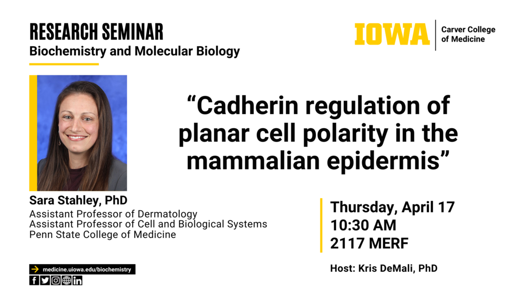 Biochemistry and Molecular Biology Seminar: Dr. Sara Stahley promotional image